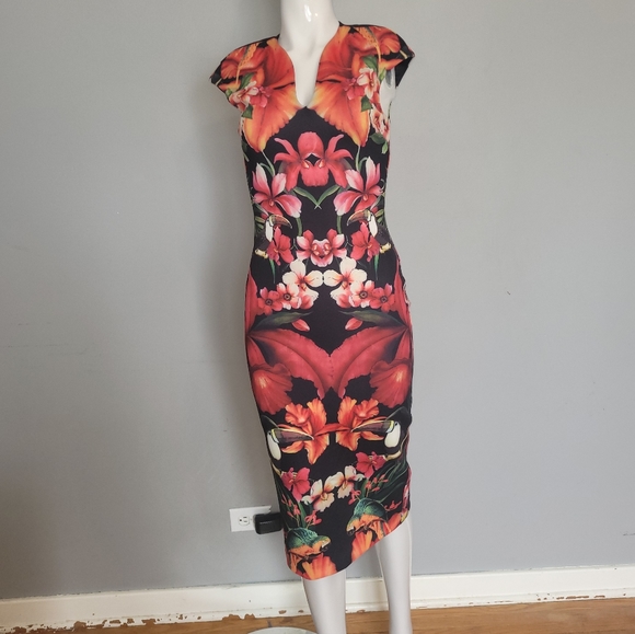 Ted Baker Bismii Mirrored Toucan Dress, BNWT, Size 0 - Picture 2 of 9